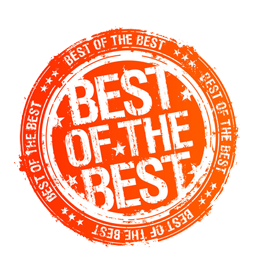 Logo for the Best of the Best